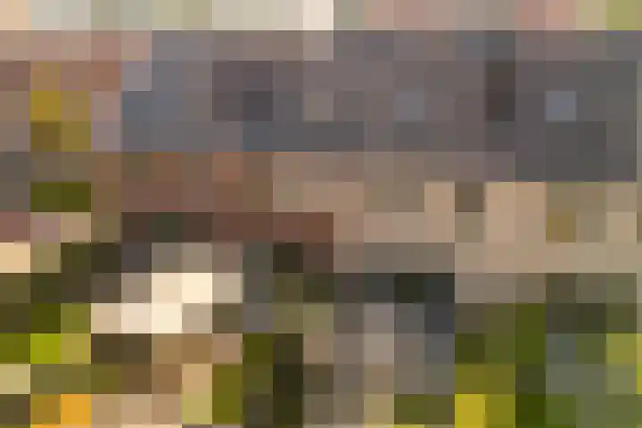 Liefkenshoek 25 Veenendaal thumbnail 26