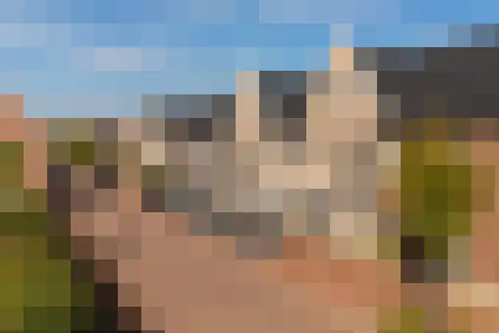 Liefkenshoek 25 Veenendaal thumbnail 28