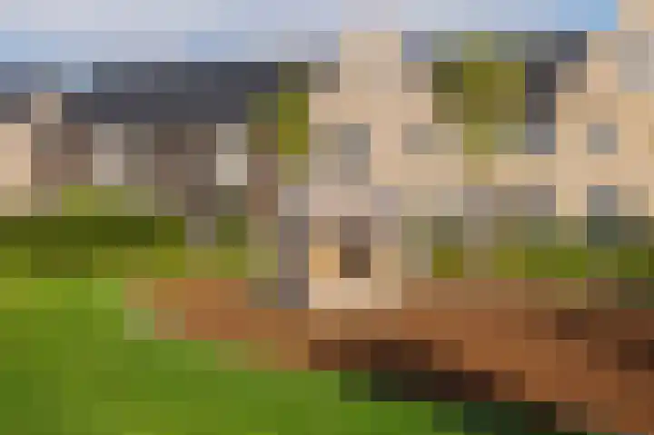 Liefkenshoek 25 Veenendaal thumbnail 30