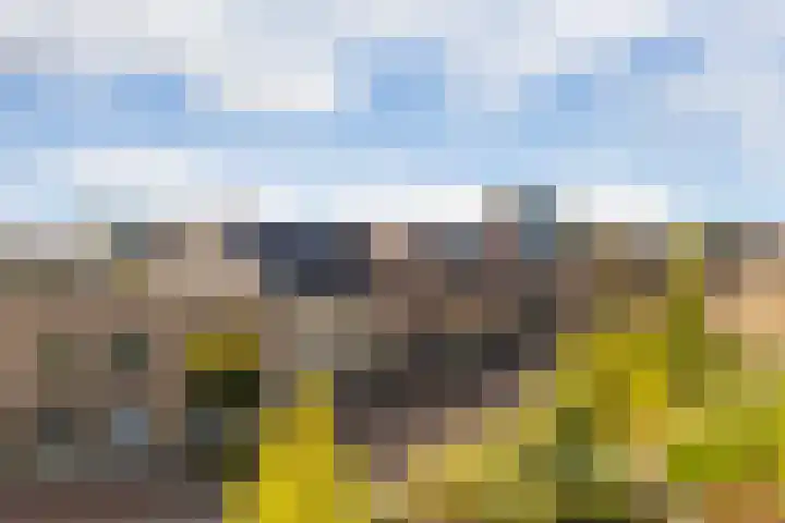 Liefkenshoek 25 Veenendaal thumbnail 31