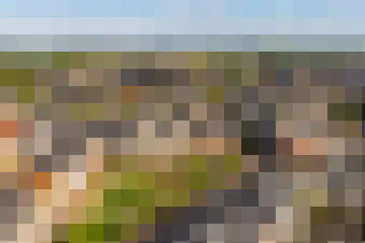 Liefkenshoek 25 Veenendaal thumbnail 32