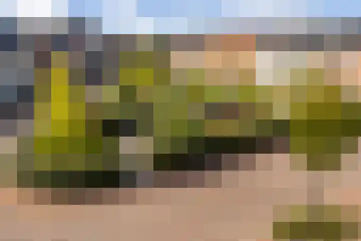 Liefkenshoek 25 Veenendaal thumbnail 33