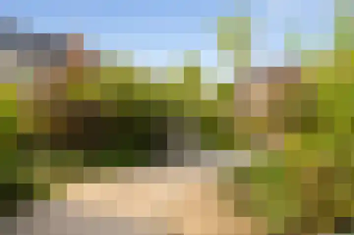 Liefkenshoek 25 Veenendaal thumbnail 34
