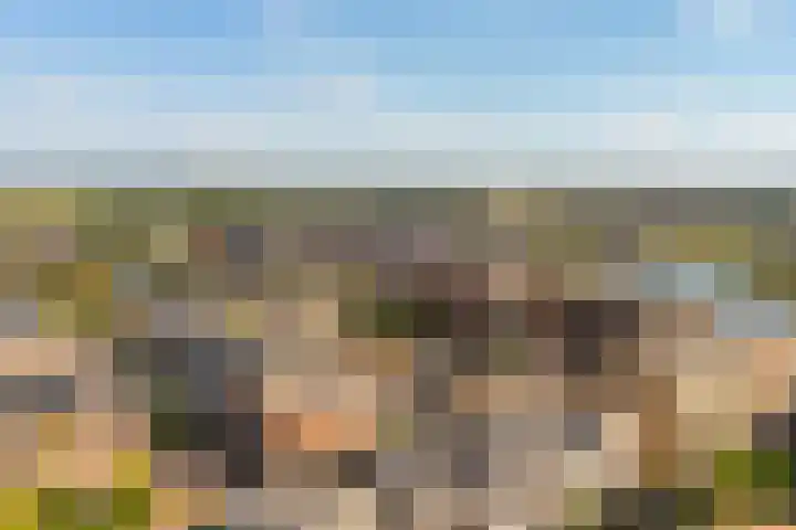 Liefkenshoek 25 Veenendaal thumbnail 35
