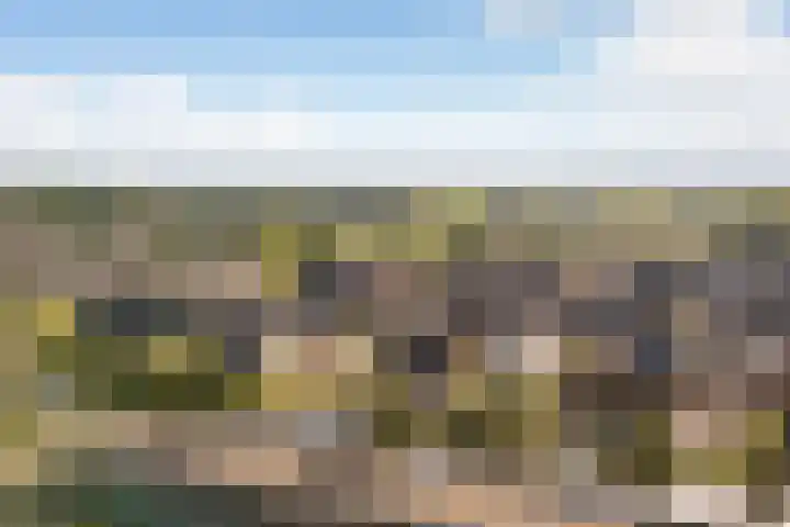 Liefkenshoek 25 Veenendaal thumbnail 36
