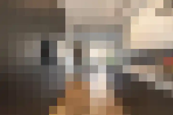Liefkenshoek 25 Veenendaal thumbnail 7
