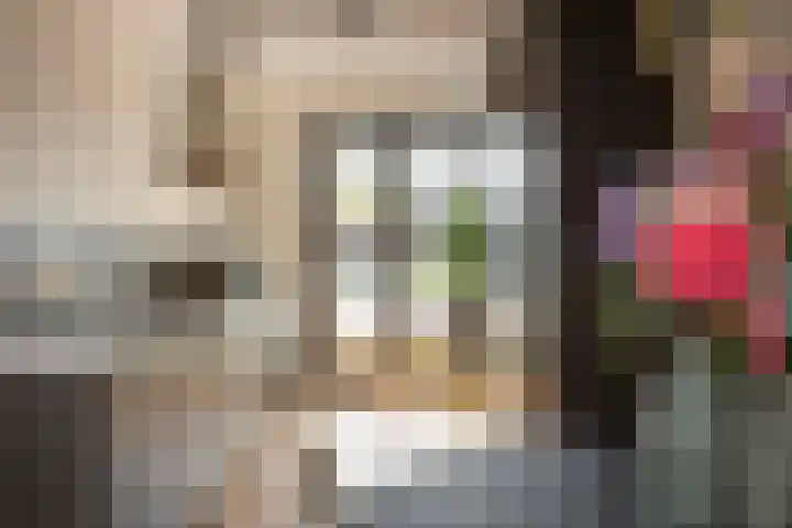 Liefkenshoek 25 Veenendaal thumbnail 8