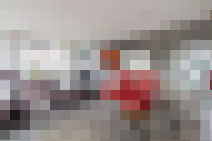 Liefkenshoek 29 Riel thumbnail 12