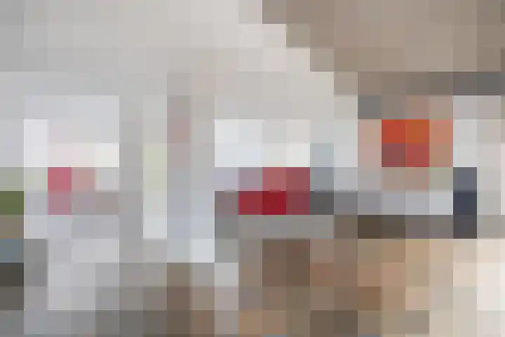 Liefkenshoek 29 Riel thumbnail 15