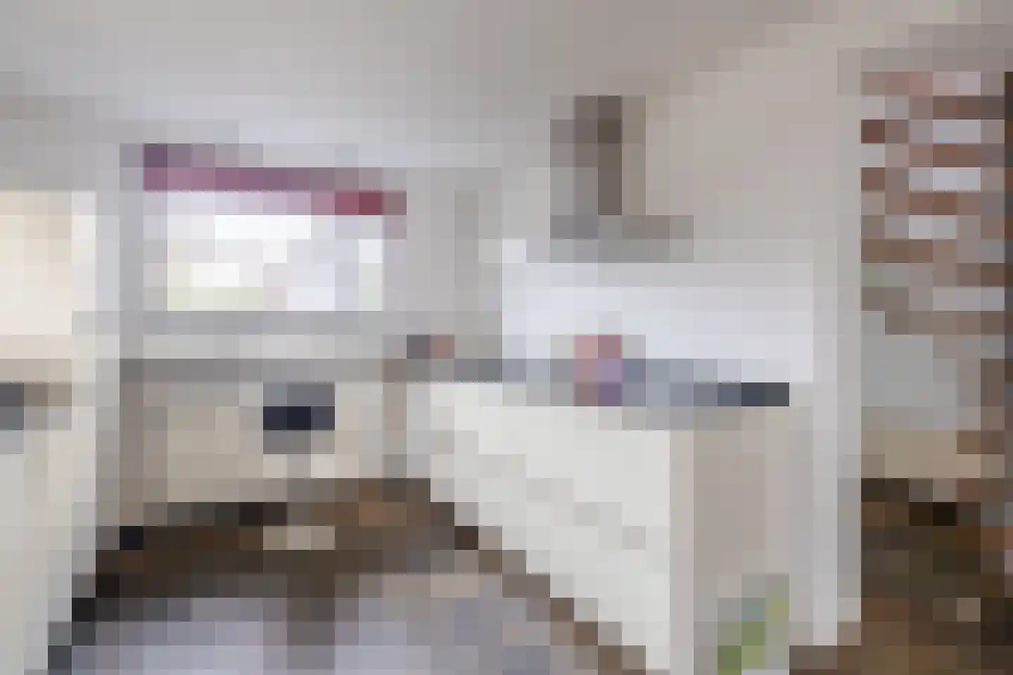 Liefkenshoek 29 Riel thumbnail 16