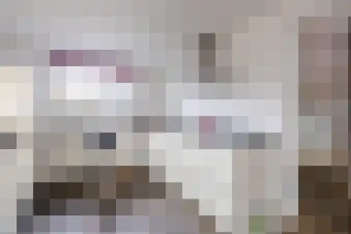 Liefkenshoek 29 Riel thumbnail 16