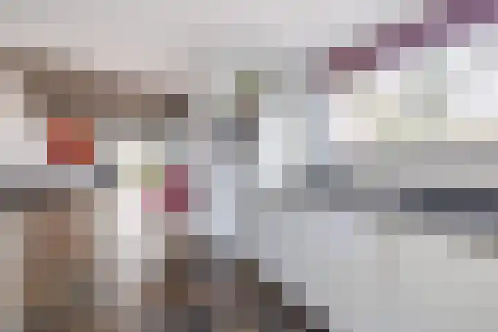 Liefkenshoek 29 Riel thumbnail 17