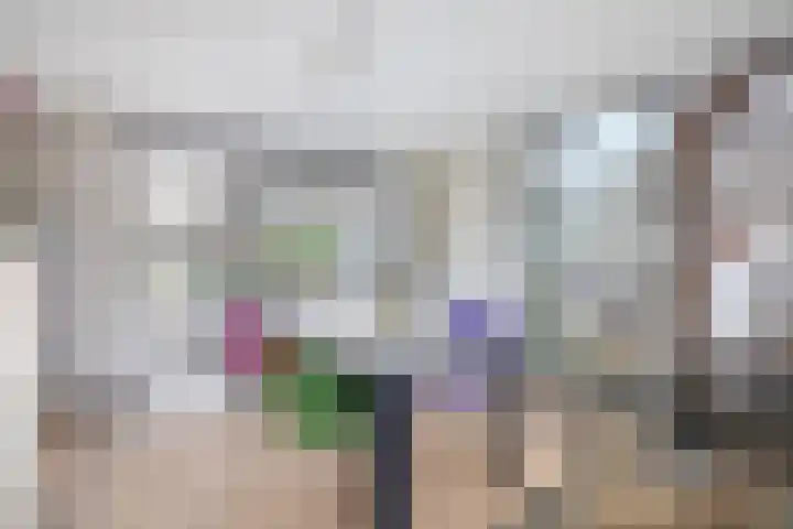 Liefkenshoek 29 Riel thumbnail 19