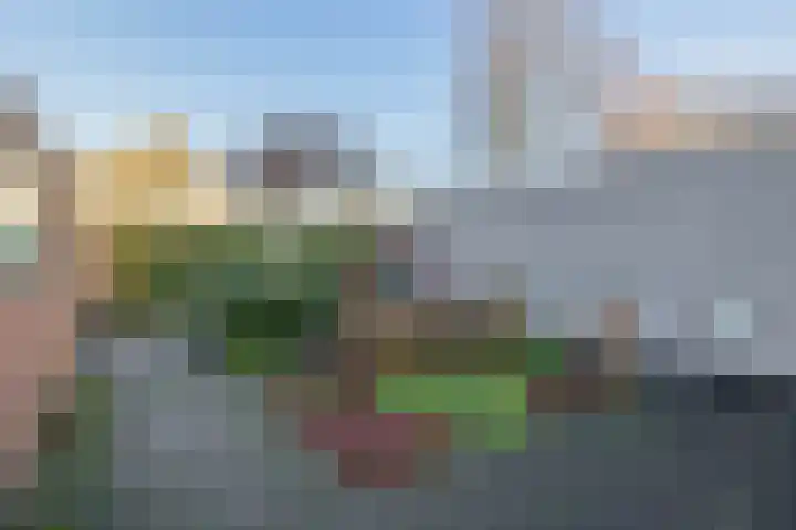 Liefkenshoek 29 Riel thumbnail 26