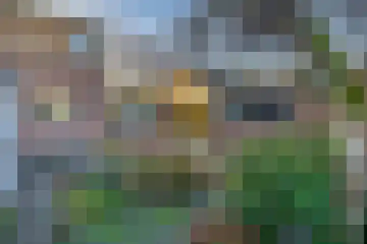 Liefkenshoek 29 Riel thumbnail 27