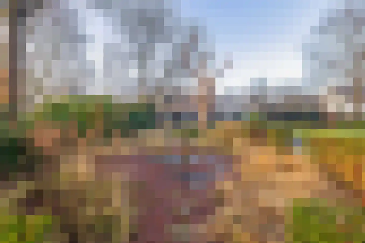Liefkenshoek 29 Riel thumbnail 29