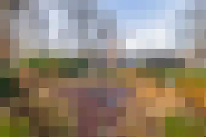 Liefkenshoek 29 Riel thumbnail 29