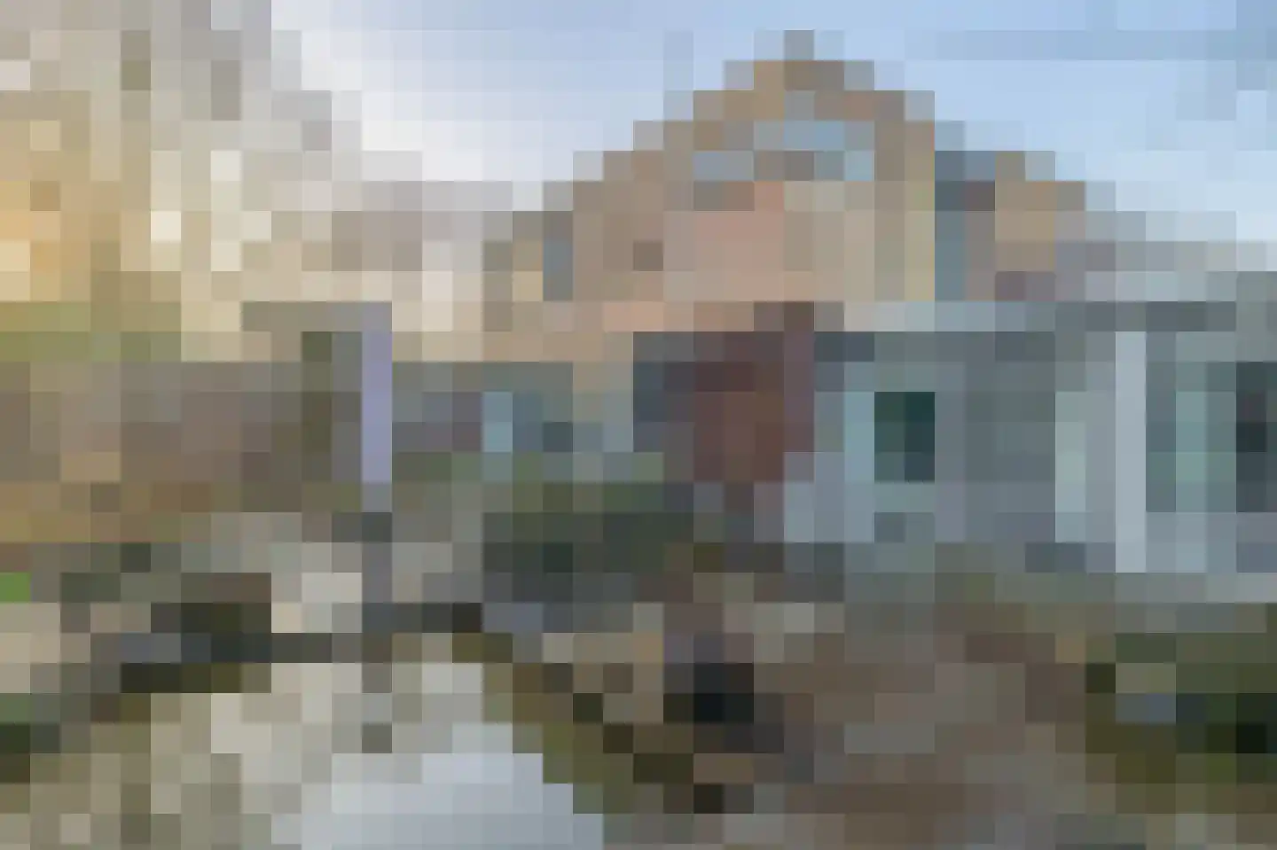 Liefkenshoek 29 Riel thumbnail 31
