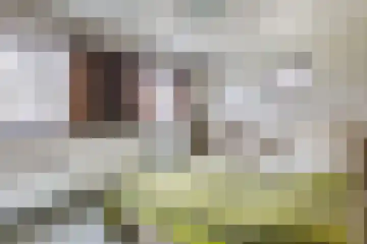 Liefkenshoek 29 Riel thumbnail 34