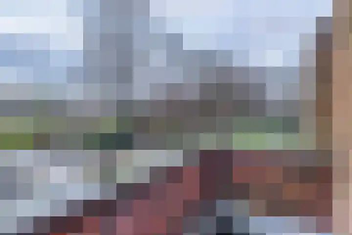 Liefkenshoek 29 Riel thumbnail 40