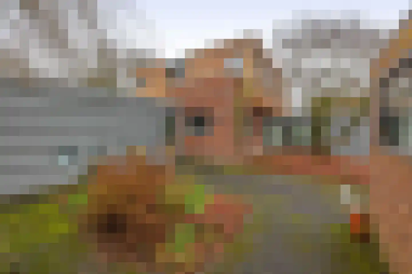 Liefkenshoek 29 Riel thumbnail 44