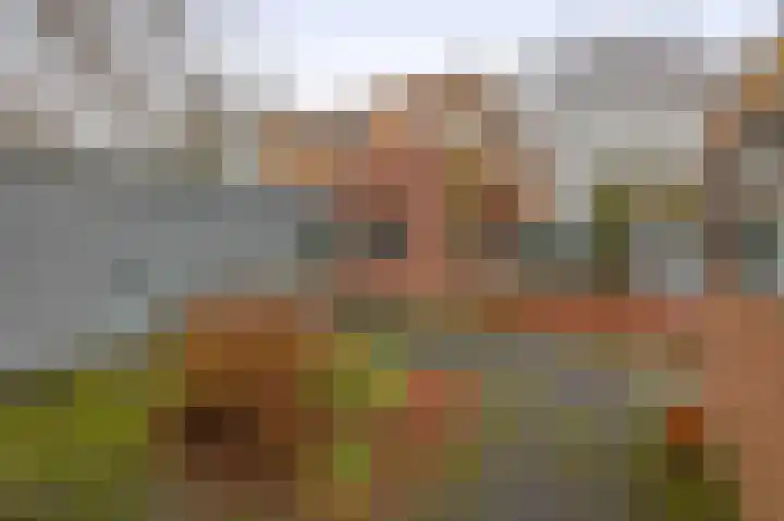 Liefkenshoek 29 Riel thumbnail 44
