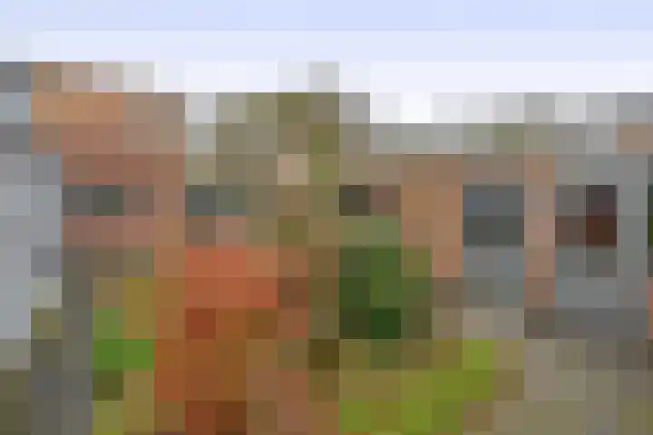 Liefkenshoek 29 Riel thumbnail 45