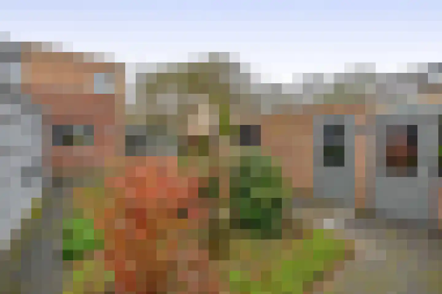 Liefkenshoek 29 Riel thumbnail 45