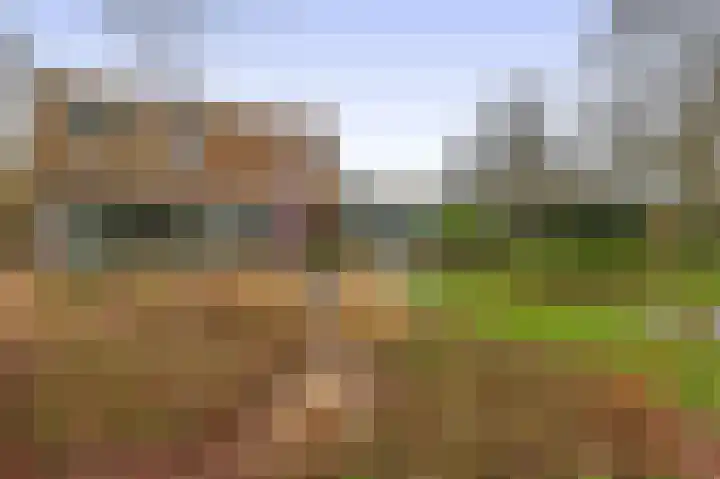 Liefkenshoek 29 Riel thumbnail 47
