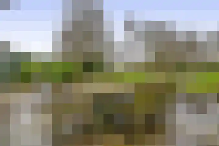 Liefkenshoek 29 Riel thumbnail 48