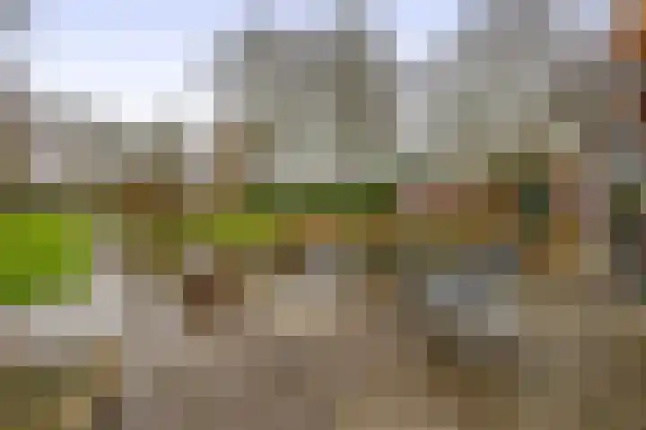 Liefkenshoek 29 Riel thumbnail 49