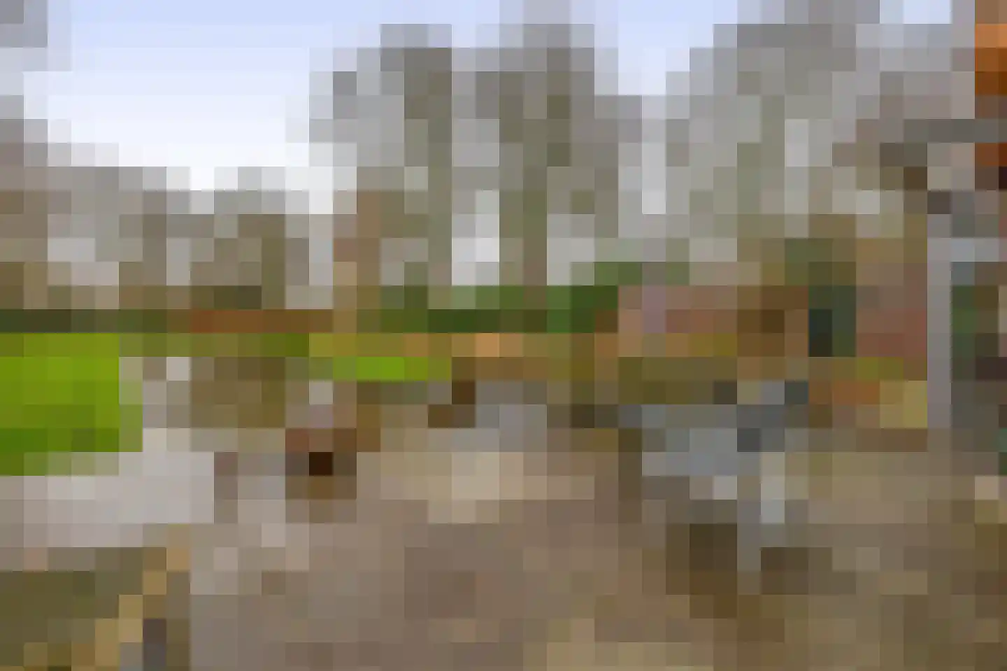 Liefkenshoek 29 Riel thumbnail 49