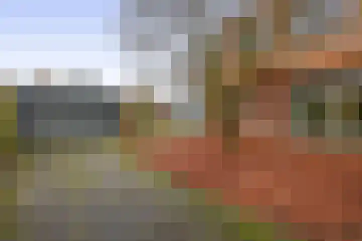 Liefkenshoek 29 Riel thumbnail 5