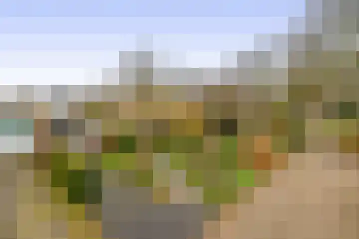 Liefkenshoek 29 Riel thumbnail 6