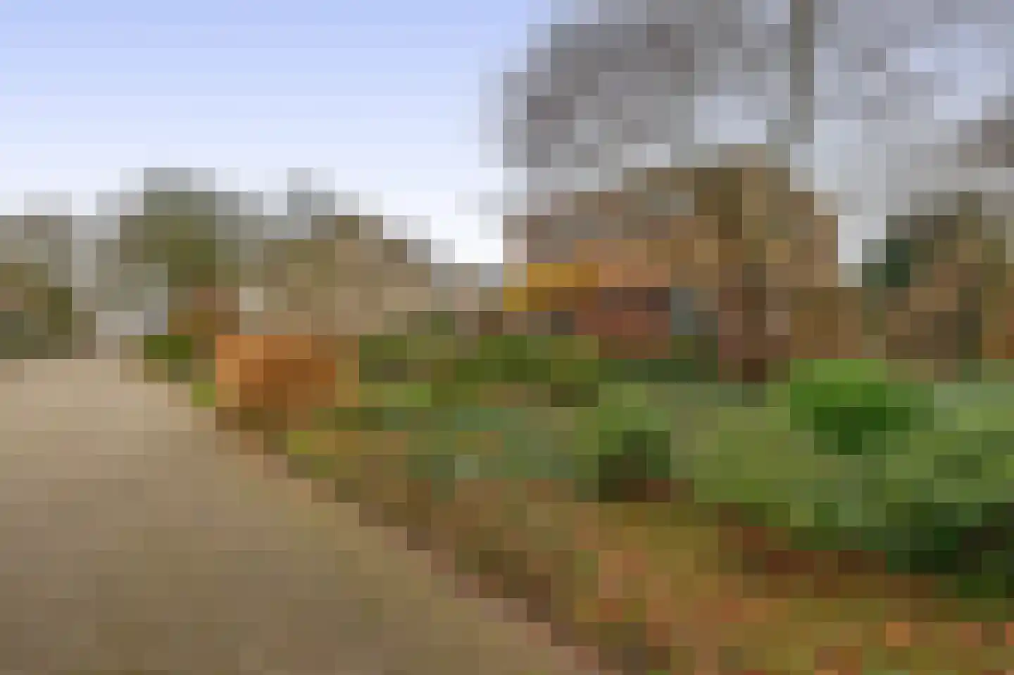 Liefkenshoek 29 Riel thumbnail 7