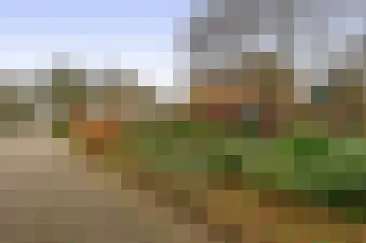 Liefkenshoek 29 Riel thumbnail 7