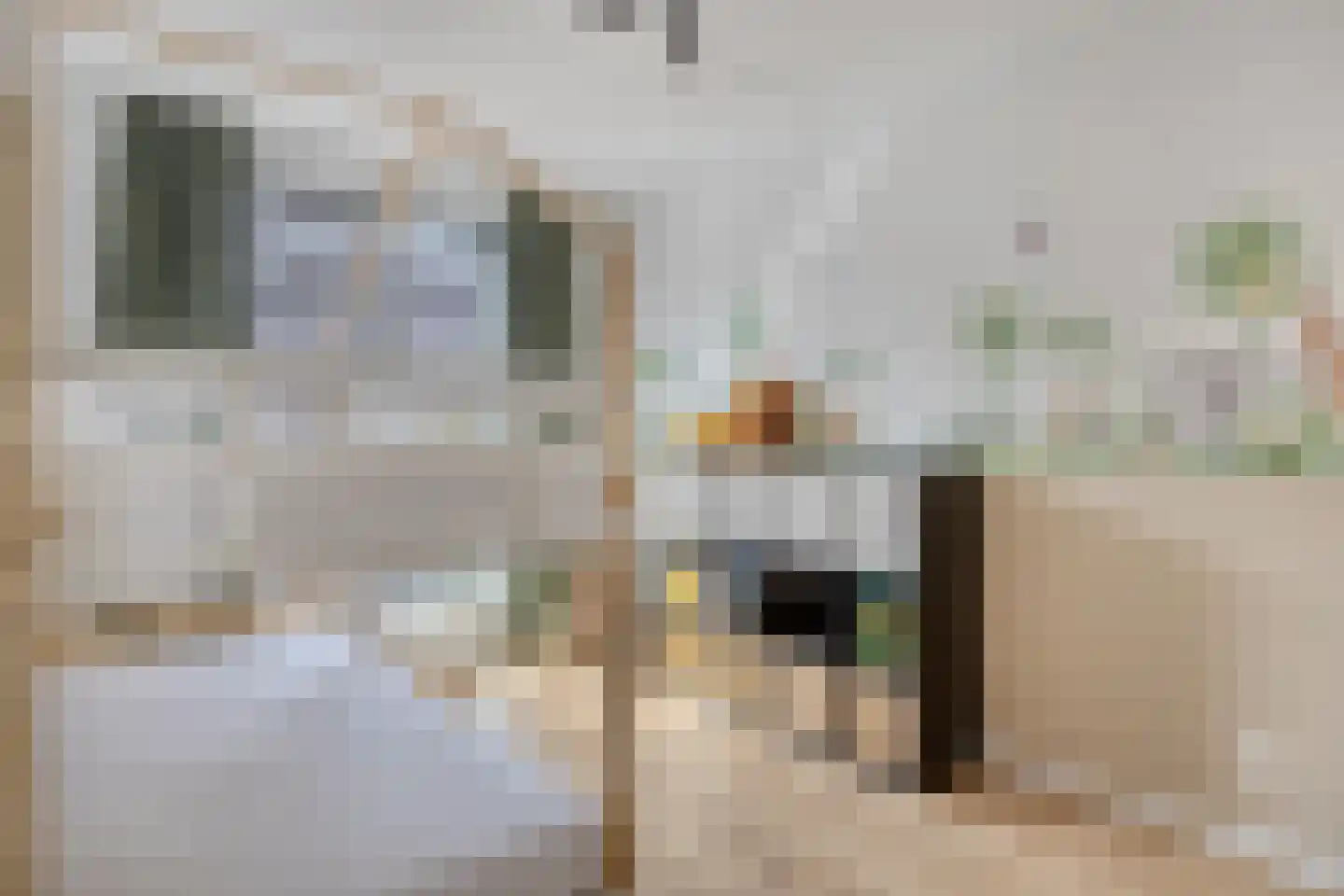 Liefkenshoek 3 Veenendaal thumbnail 18