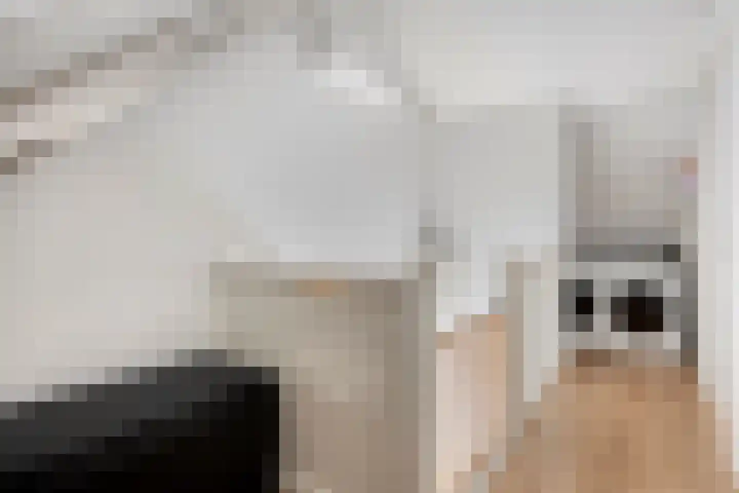 Liefkenshoek 3 Veenendaal thumbnail 21