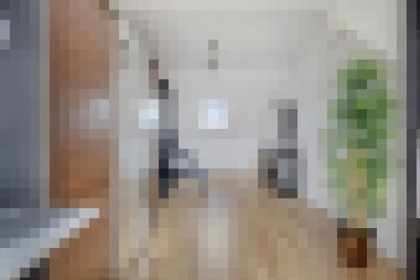 Liefkenshoek 3 Veenendaal thumbnail 23