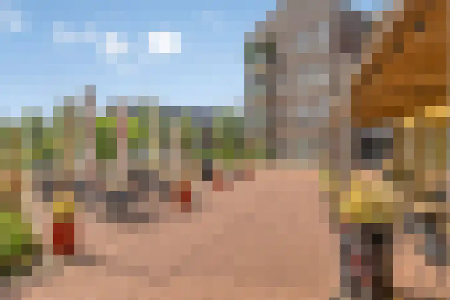 Liefkenshoek 3 Veenendaal thumbnail 34