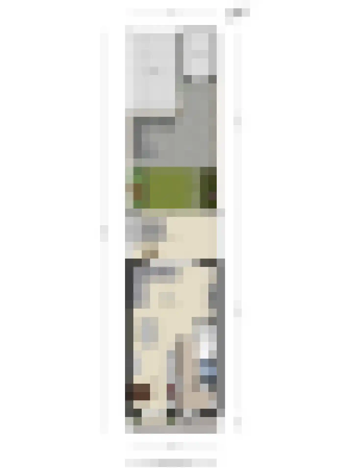 Liefkenshoek 3 Veenendaal thumbnail 38