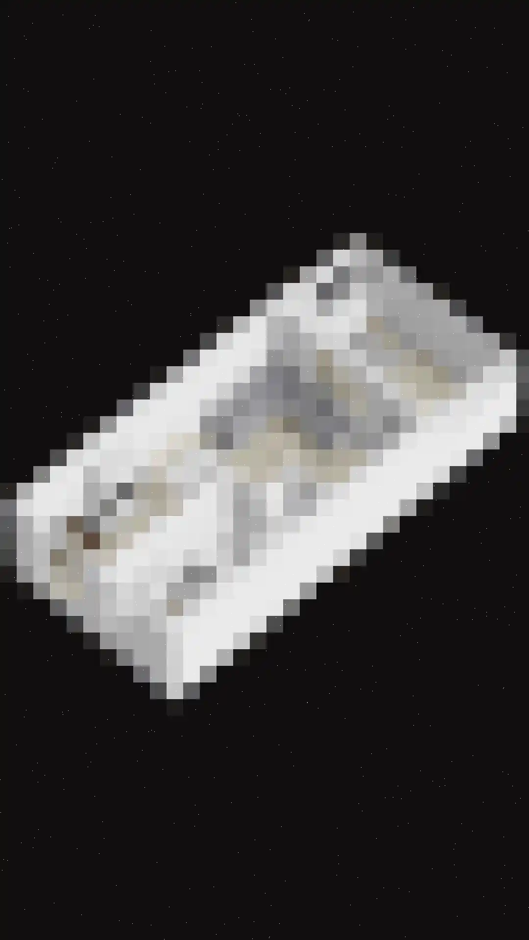 Liefkenshoek 3 Veenendaal thumbnail 41