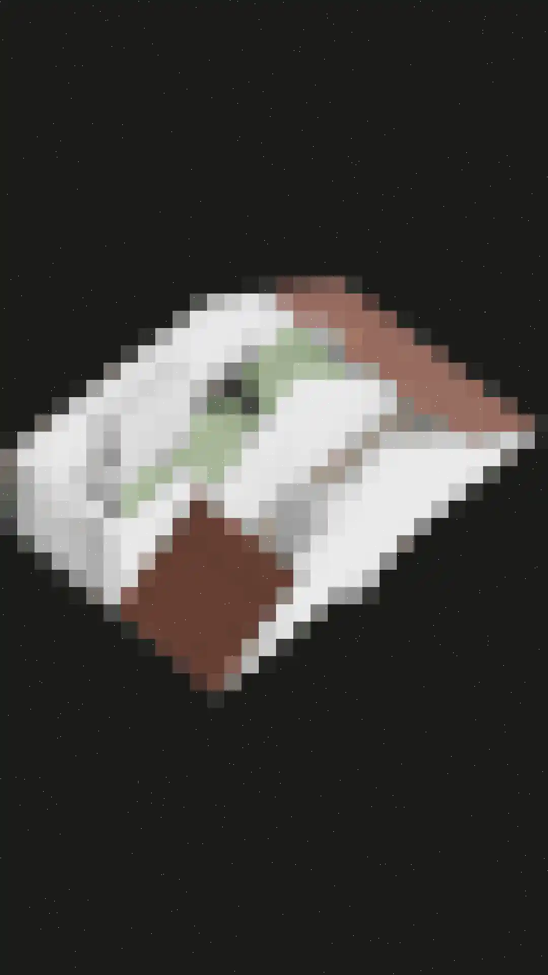 Liefkenshoek 3 Veenendaal thumbnail 43