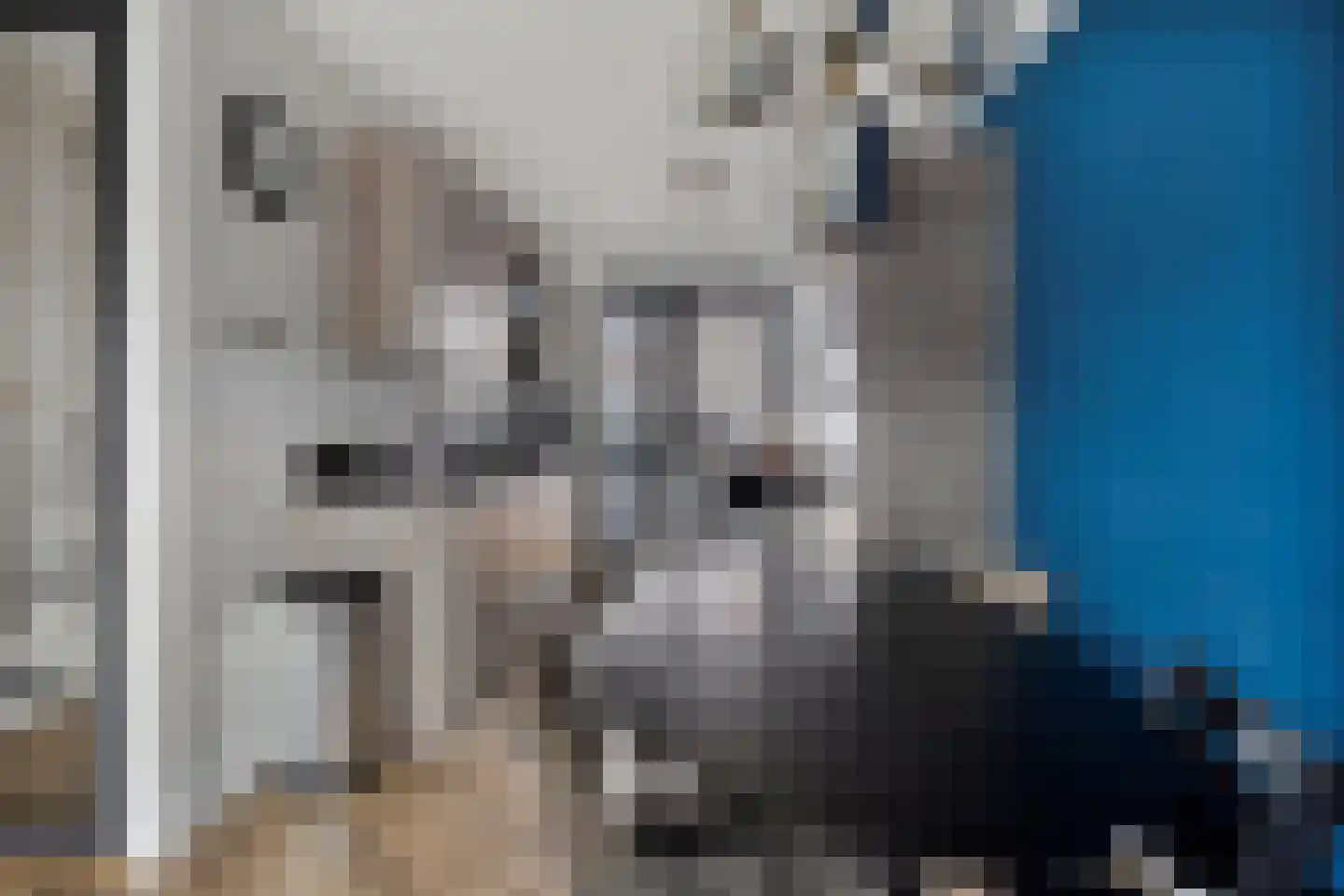 Liefkenshoek 3 Veenendaal thumbnail 9