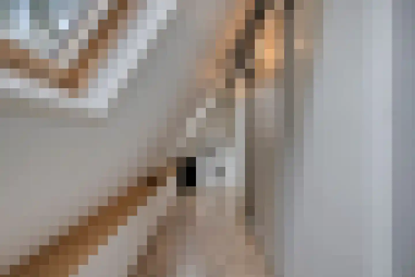 Liefkenshoek 7 Riel thumbnail 48