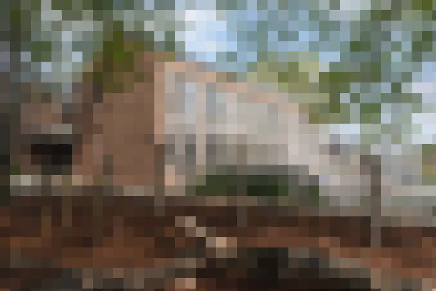 Liefkenshoek 7 Riel thumbnail 66