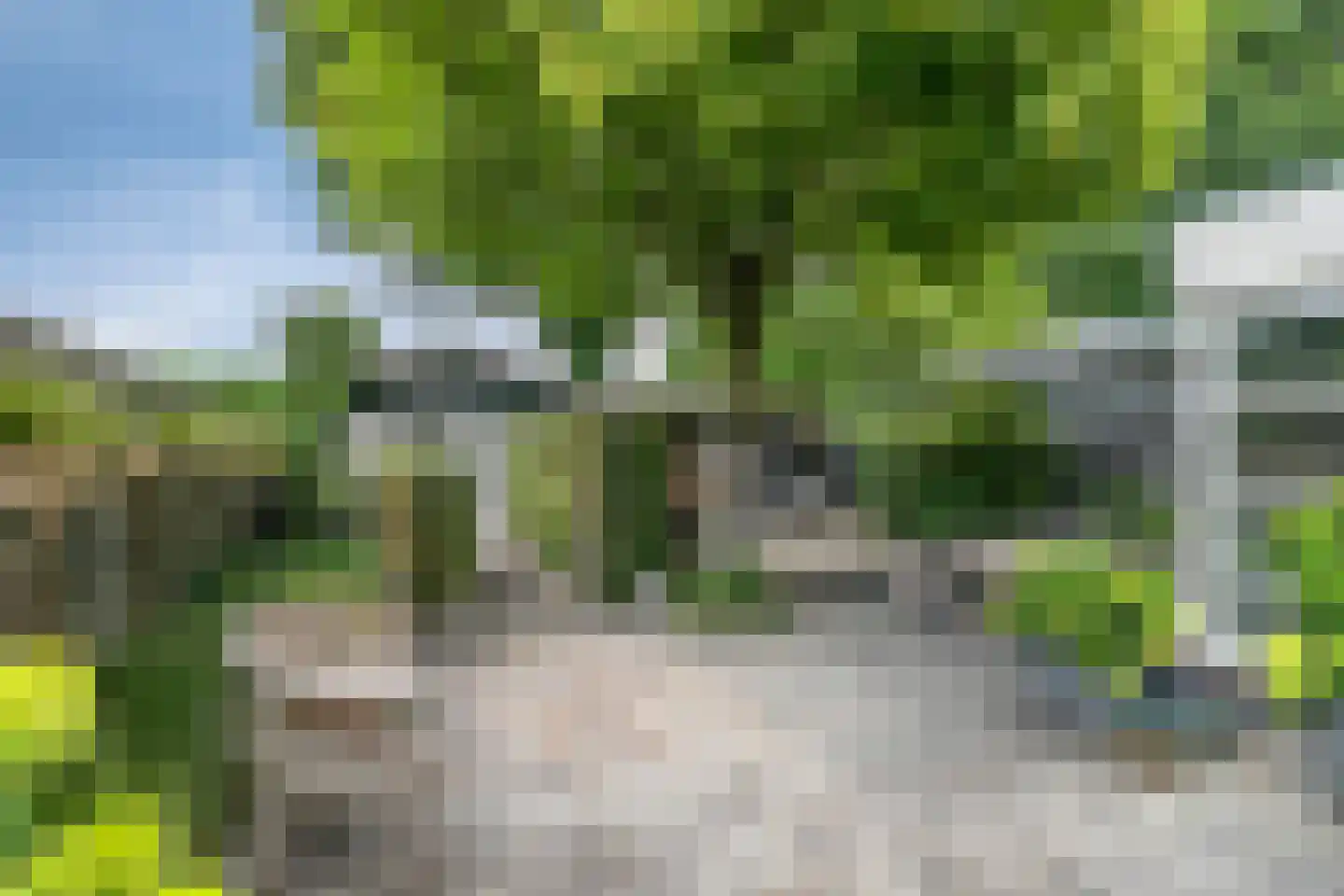 Liefkenshoek 7 Riel thumbnail 8