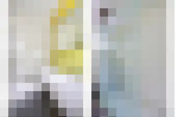 Liefkenshoekstraat 39 Tilburg thumbnail 16