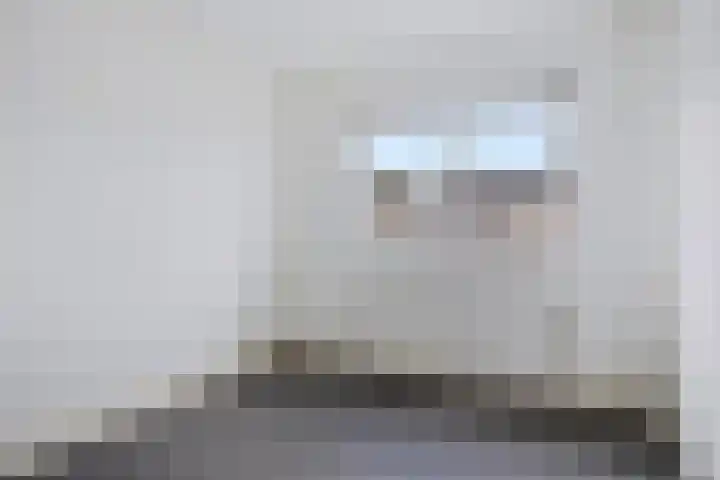 Liefkenshoekstraat 39 Tilburg thumbnail 19