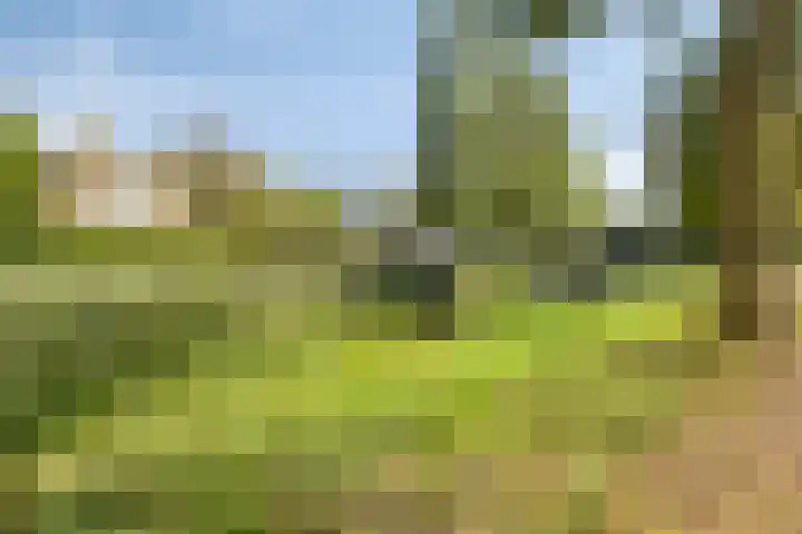 Liefkenshoekstraat 39 Tilburg thumbnail 30